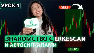 Урок 1: Знакомство со скринером ErkeScan и автосигналами