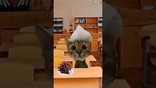 Тортик🍰😂🤣 #shorts #tiktok #youtube #котики #футажи Автор:@Julia_Fun #юмор