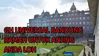 Hotel mewah yang ramah untuk anjing, GH Universal