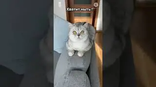 Взбодрись New Tik Tok. Приколы Тик Ток лыба
