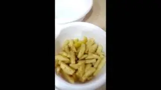 Loaded/Chili Fries! Daily Vlog #24