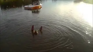 Emilia Waterskiing all by her self from water.