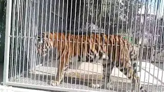 Заключенный Алтай надеется на освобождение!