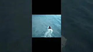 29 октября 2023 г.