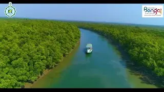 Experience Sundarbans