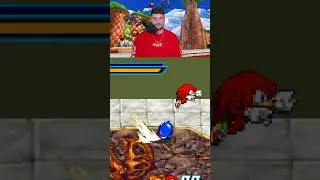 Beating Up A Random Sonic Character!