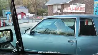 Pedal Pumping Raquel Derek Gas Station Car Cranking
