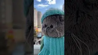 Басики Тёмик и Сёма сидят на балконе. 
