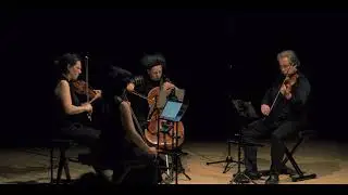 Paolo Griffin - Adherence Quatuor Bozzini