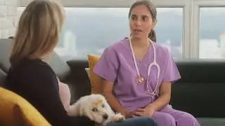 The ultimate guide to managing pet separation anxiety