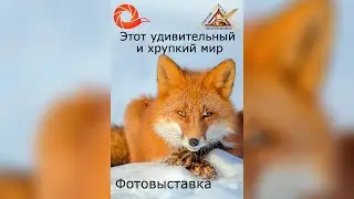 Выставка "Этот удивительный и хрупкий мир"