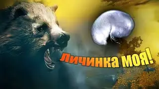 Где найти Слезу личинки в Elden Ring? Или внезапный медведь!  Мини - Гайд.