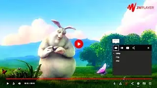 JWPLAYER8 - Netflix Skin Fully Customised v1.0