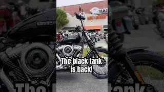 2025 Softail Street Bob | The black tank IS BACK🙌🏻