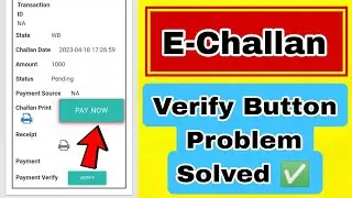 E-Challan Verify button problem | How to enable pay now button on E-Challan website