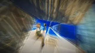Foqas in Season X