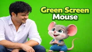 Mouse Green Screen