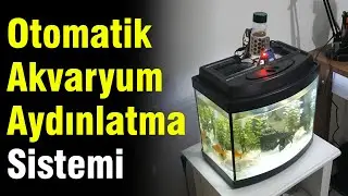 Otomatik Akvaryum Aydınlatma Sistemi