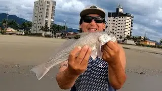 🌞Pescaria de Praia HOJE o Peixe Grande saiu Bitelo PRAIA GRANDE SP