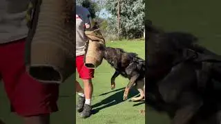 Gibbs von Taylorhof protection session #3