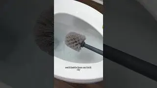 Must Use Toilet Cleaning Tips 