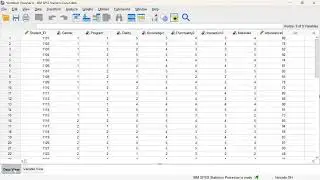 Loading the Data in SPSS
