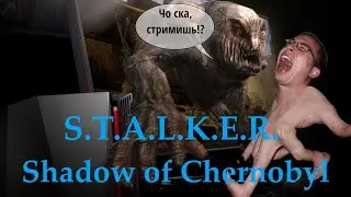 Первое прохождение  S.T.A.L.K.E.R. Shadow of Chernobyl # 1
