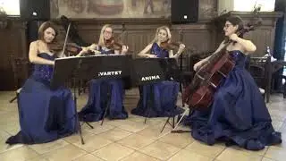 A Thousands Years - Christina Perri - Cvartet Anima - Valse