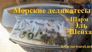 Рестораны Шар Эль Шейха. Где купить креветки в Шарм Эль Шейхе.