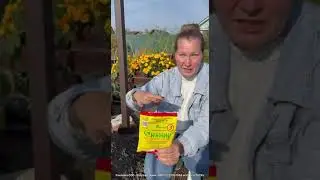 Скоростной компост и перегной, ускоритель созревания #огород #грядки #сад