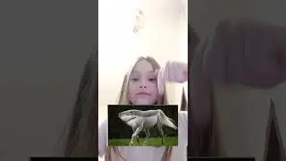 это картинка перевёртыш #shorts