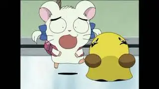 Hamtaro Memes and Out of Context Compilation