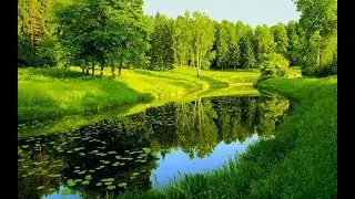 Красивая природа горы река деревья