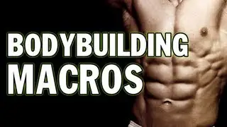 BODYBUILDING MACRO BASICS & WHAT ARE MACROS?