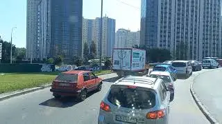 Днепр  Киев. Везу декоративные деревья)