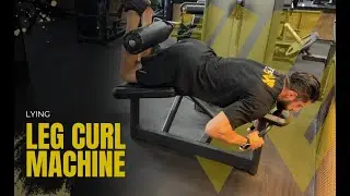 Lying Leg Curl Machine | Build Stronger Hamstrings!