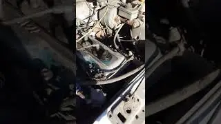 Продаю свою кормилица  меняю работу