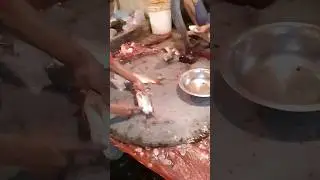 Fish Cutting Skill 