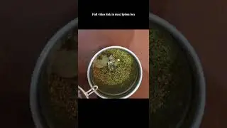 தண்ணீரில் கோலா உருண்டை/Mutton kola urundai in tamil/Mutton kola urundai recipe in tamil/kola urundai