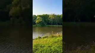 Сестрорецк