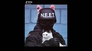 SWAT LOLI LV100