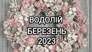 ВОДОЛІЙ БЕРЕЗЕНЬ 2023