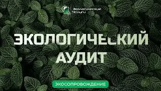 Экологический аудит: все, что нужно знать