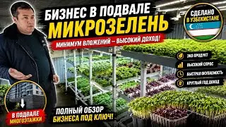 БИЗНЕС ФЕРМА  В ПОДВАЛЕ С ДОХОДОМ БОЛЕ 3000$ МИКРОЗЕЛЕНЬ
