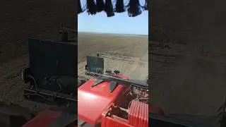 Сезон открылся 💪