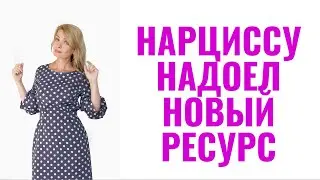 Нарциссу надоел новый ресурс: признаки