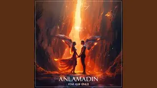 Anlamadın