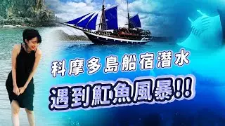 【小熊】科摩多島船宿潛水VLOG！我遇到一整群魟魚！！