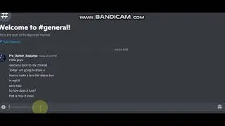 DISCORD || HOW TO MAKE A LAVA LINK STATUS BOT || NO CODING REQUIRED ||