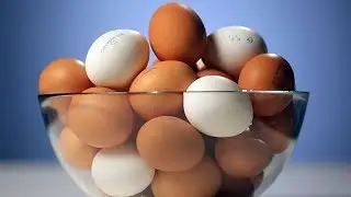 ЧЕМ отличаются БЕЛЫЕ куриные яйца от КОРИЧНЕВЫХ